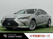 2019 LEXUS ES