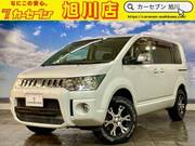 2010 MITSUBISHI OTHER