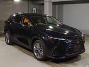 2022 LEXUS NX