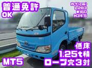 2019 TOYOTA DYNA