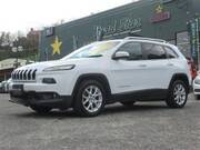 2014 CHRYSLER JEEP COMPASS