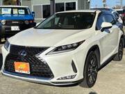 2020 LEXUS RX