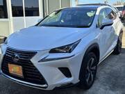 2018 LEXUS NX