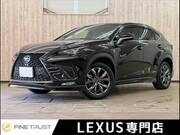 2018 LEXUS NX