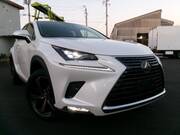 2020 LEXUS NX