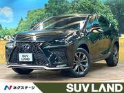 2017 LEXUS NX