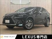2019 LEXUS NX