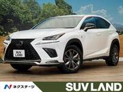 2019 LEXUS NX