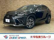 2020 LEXUS NX