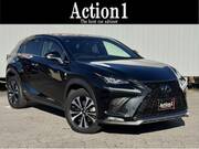 2017 LEXUS NX