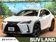 2019 LEXUS UX