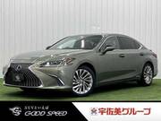 2019 LEXUS ES