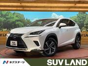 2019 LEXUS NX