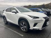2017 LEXUS NX