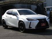 2022 LEXUS UX