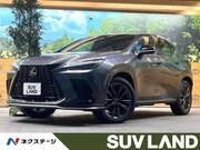 2024 LEXUS NX