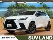 2023 LEXUS NX