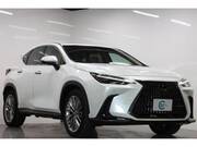 2022 LEXUS NX