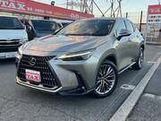 2021 LEXUS NX