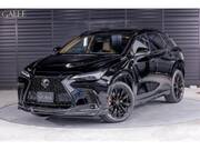 2025 LEXUS NX