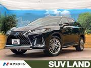 2019 LEXUS RX