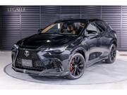 2025 LEXUS NX