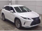 2019 LEXUS RX