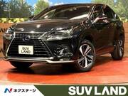 2021 LEXUS NX