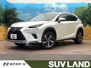 2021 LEXUS NX