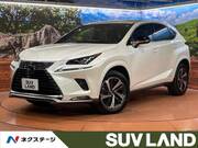 2020 LEXUS NX