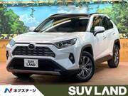 2024 TOYOTA RAV4 G