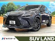 2023 LEXUS NX