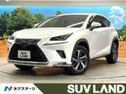 2018 LEXUS NX