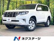 2022 TOYOTA LAND CRUISER PRADO TX