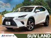 2018 LEXUS NX