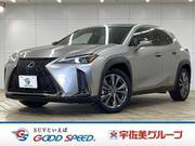 2019 LEXUS UX