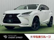 2017 LEXUS NX
