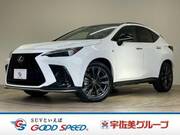 2022 LEXUS NX