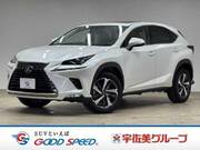 2019 LEXUS NX