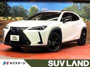 2021 LEXUS UX