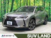 2019 LEXUS UX