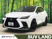 2022 LEXUS NX