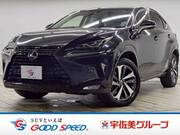 2018 LEXUS NX