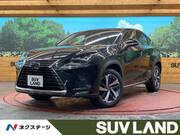 2017 LEXUS NX