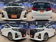 2016 TOYOTA ALPHARD