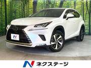 2019 LEXUS NX