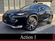 2015 LEXUS NX