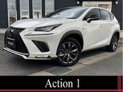 2018 LEXUS NX