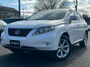 2010 LEXUS RX