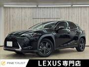2019 LEXUS UX